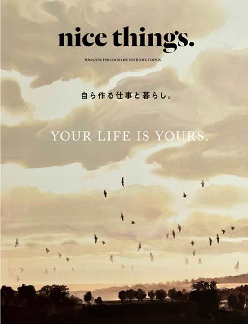 nice things. cover — birds in the sky